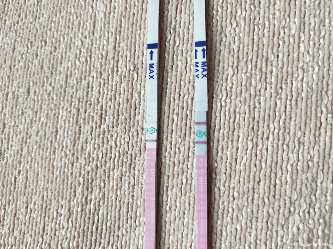 好像强阳了,今天会排卵么