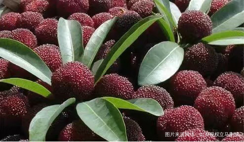 我的家乡,有空常回家看看