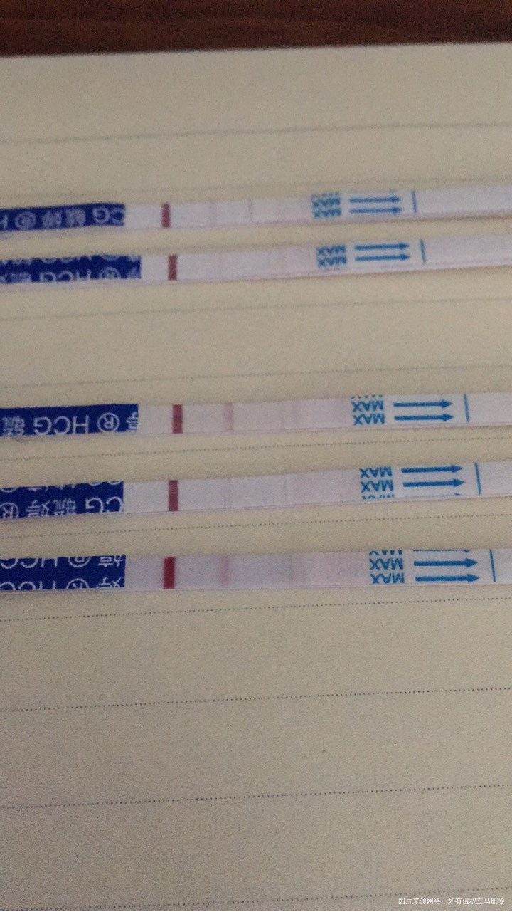 冻胚第十一天,试纸就像过山车一样