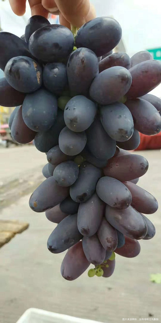 老公发了个朋友圈,给朋友帮了大忙