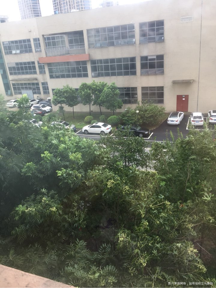 空气中湿气太重了,还是得开空调呢!