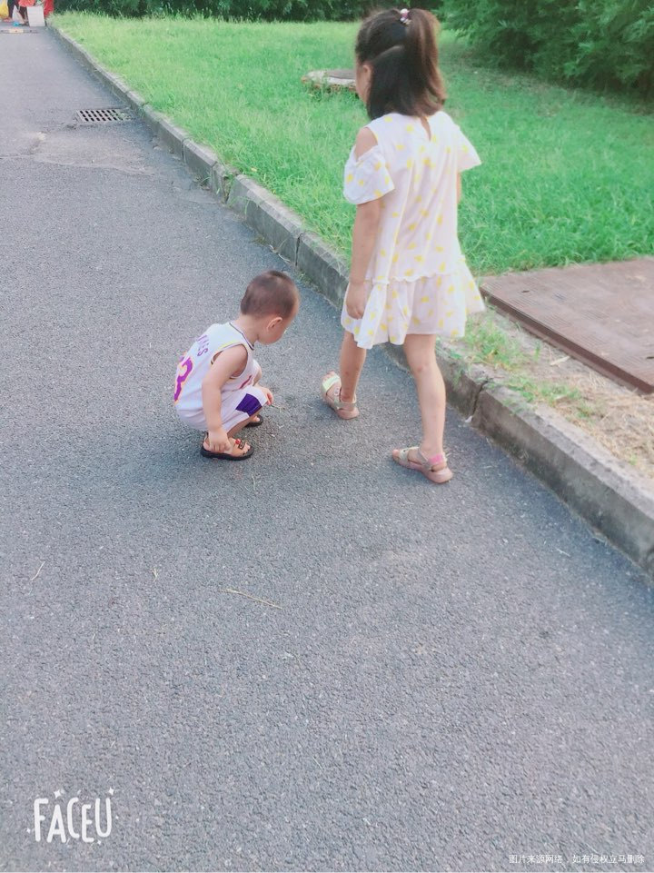 两个人总喜欢逮蚂蚁,隔三差五的