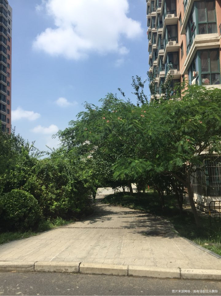 今日,天朗气清,惠风和畅