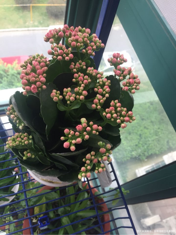 终于可以正常发帖子了