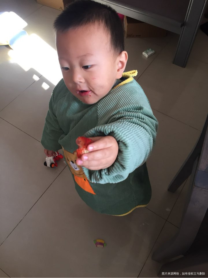 大宝心心念的草莓,她爹又买来了