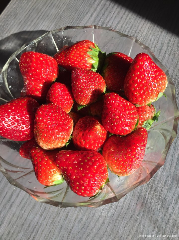 大宝心心念的草莓,她爹又买来了