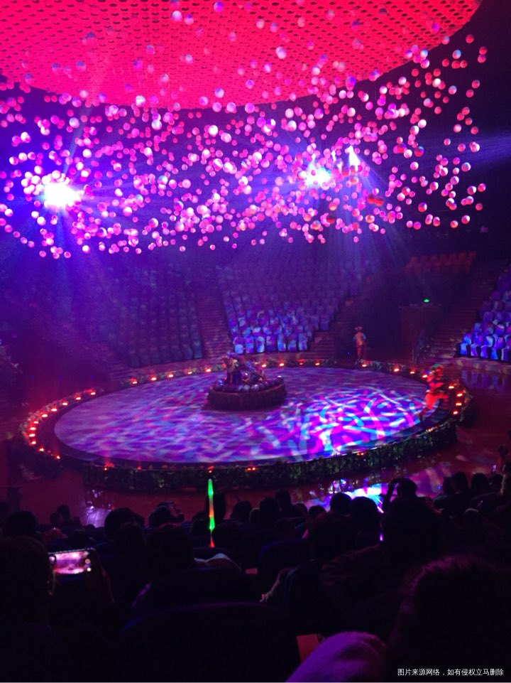 今天听到最开心的一句话