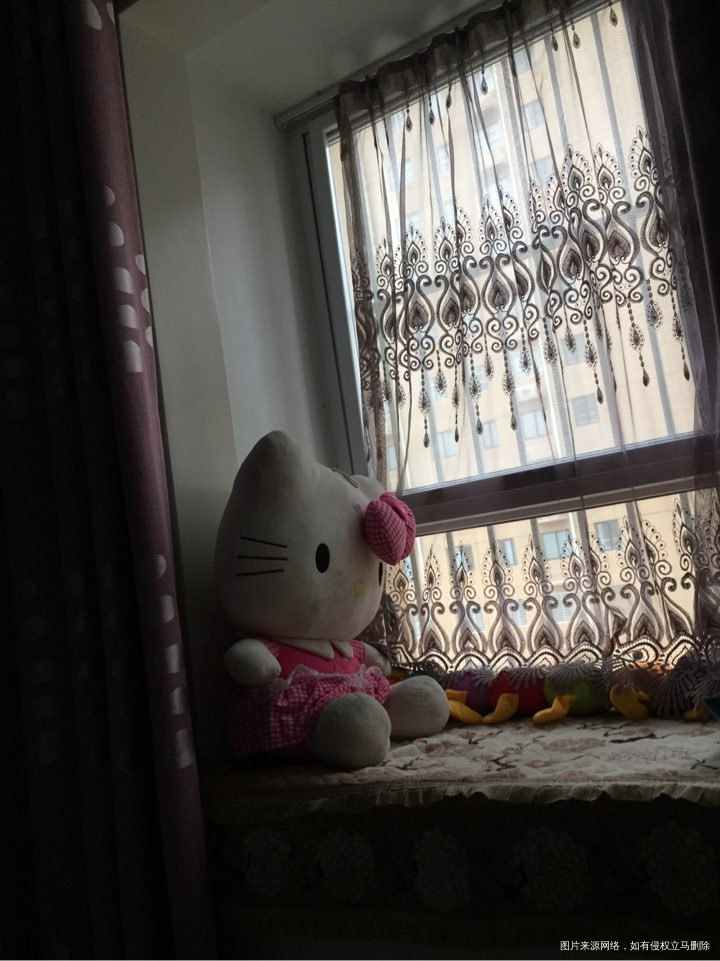 年初一,躺在在被窝里看《囧妈》