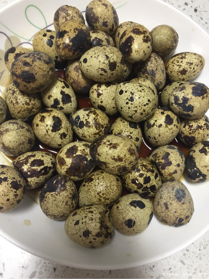 在家养猪的日子要到何时