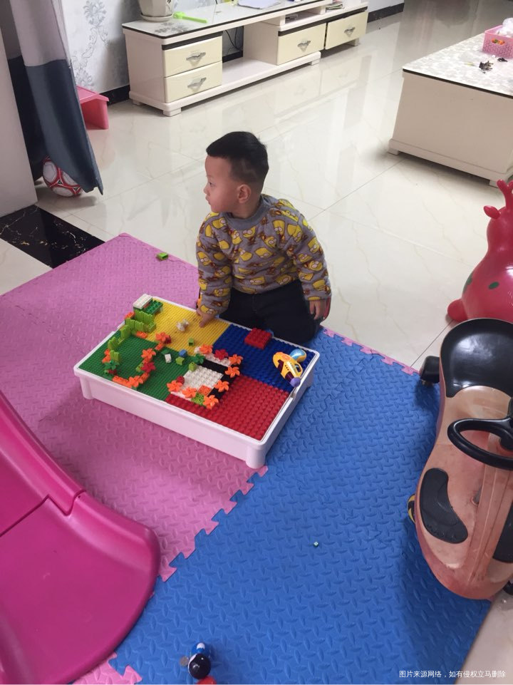 闭关修炼的这些天多亏了它们