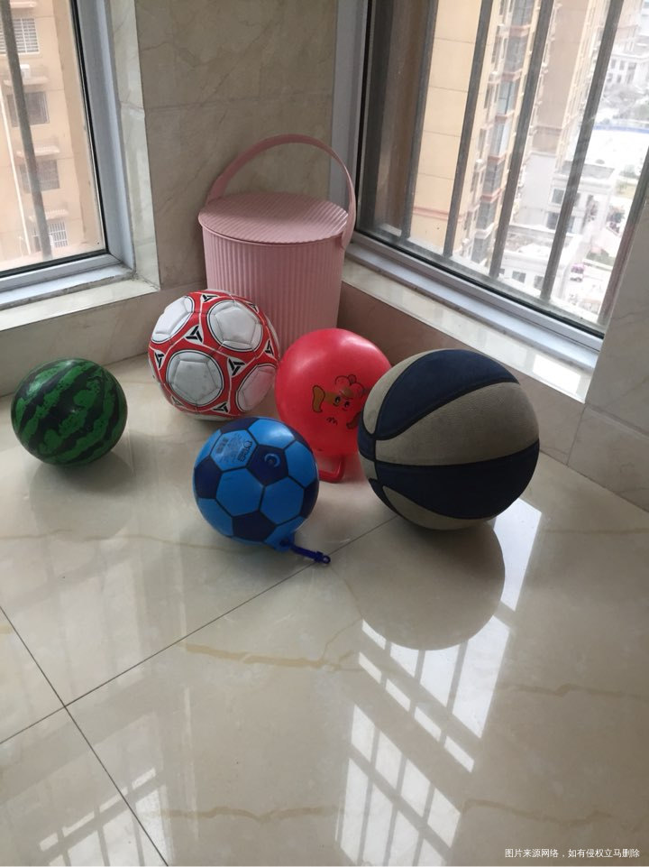 闭关修炼的这些天多亏了它们