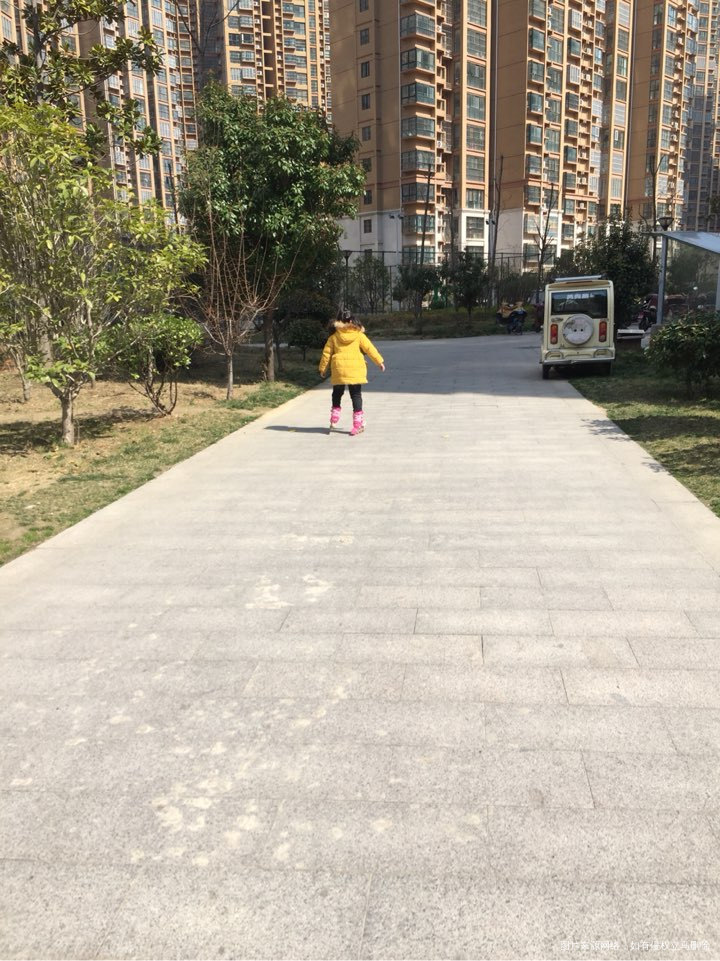 大宝非要跟我去楼下溜达一圈