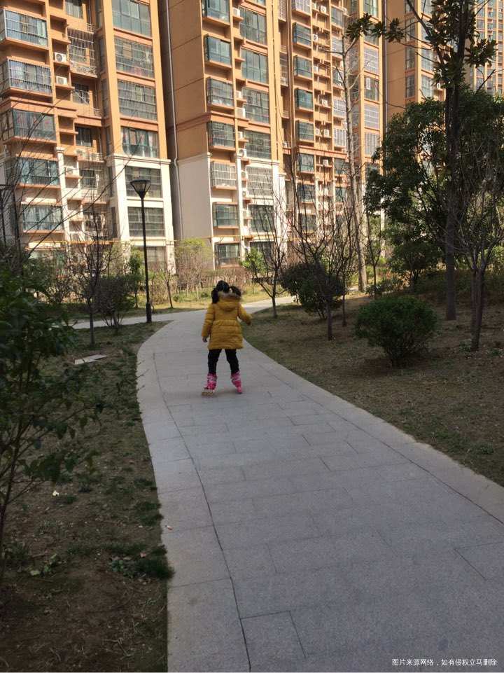 大宝非要跟我去楼下溜达一圈