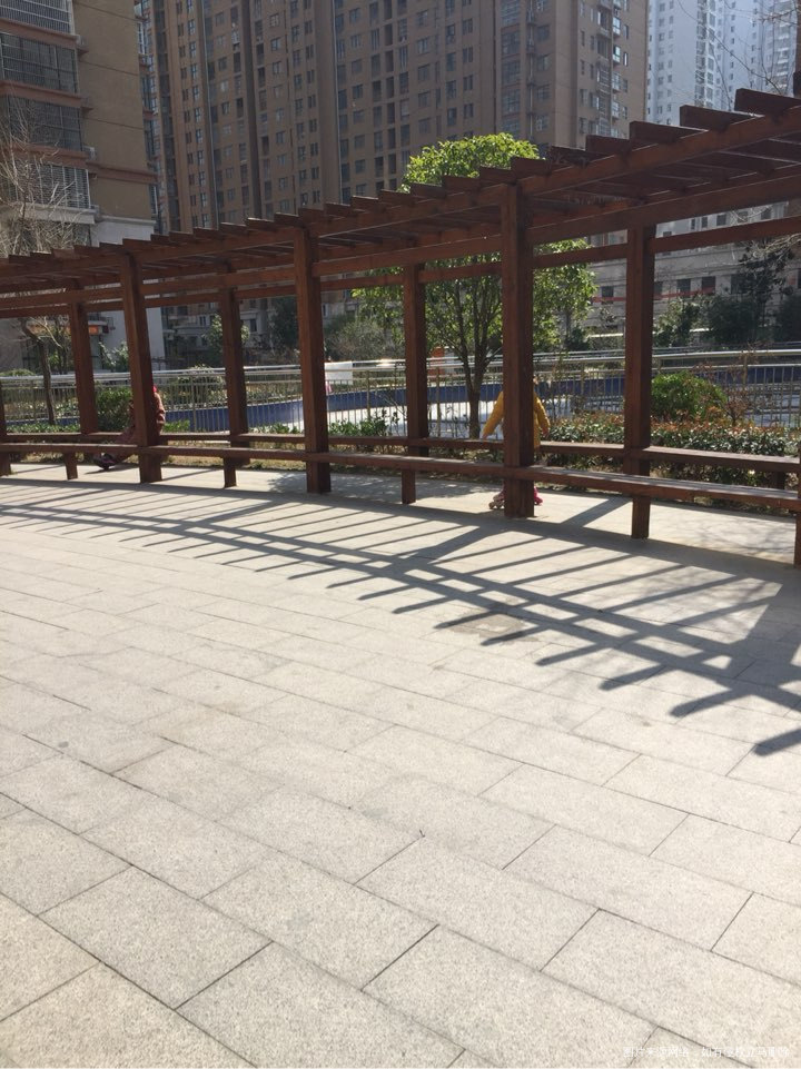 大宝非要跟我去楼下溜达一圈