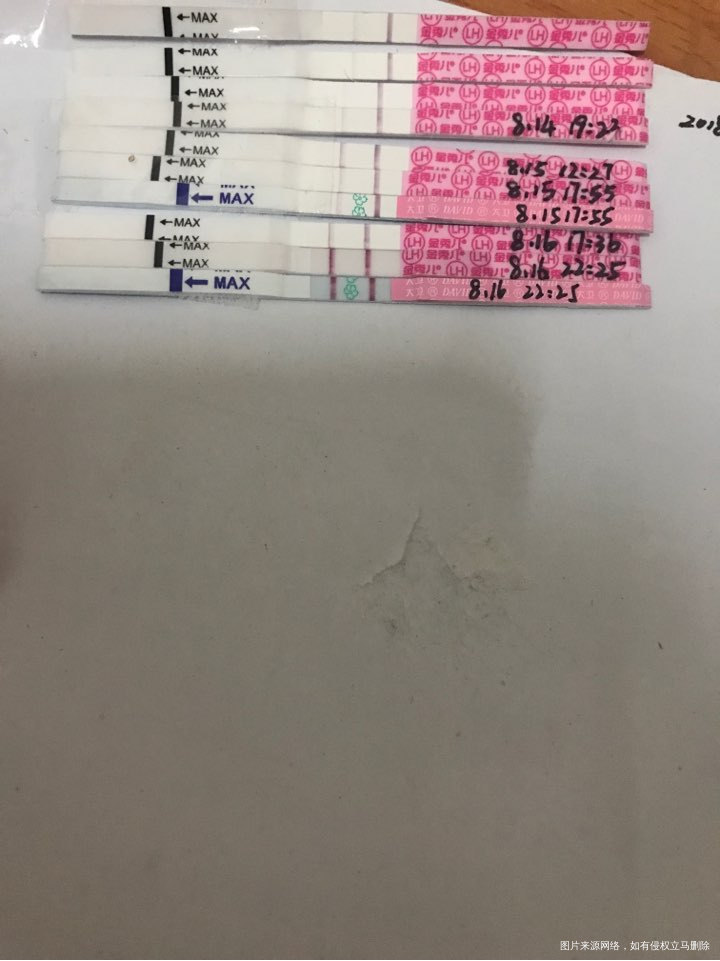 开始强阳了,开心的呀,哈哈