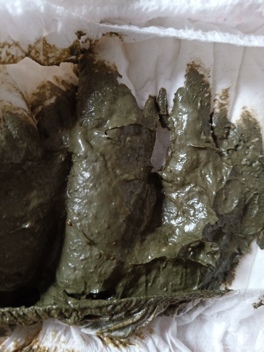 宝宝大便怎么会这样呢?