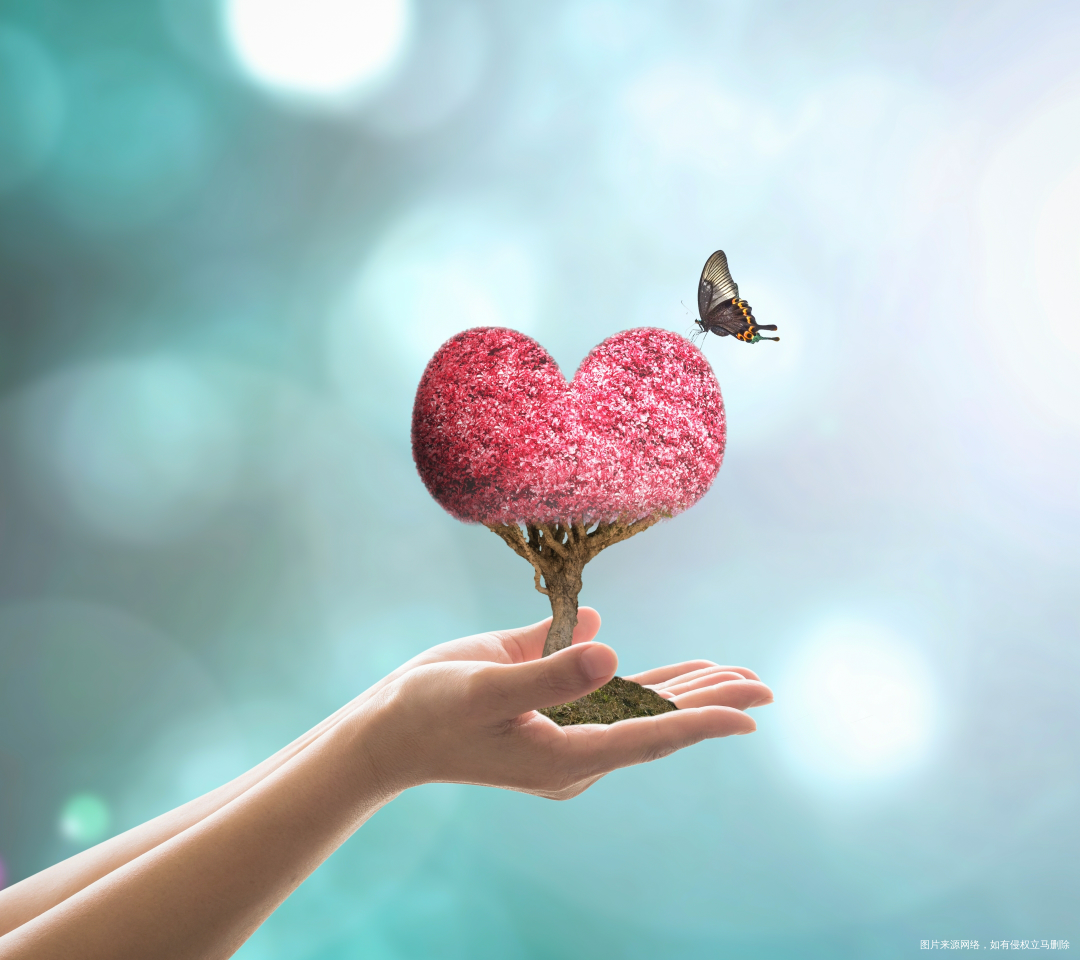 【夫妻感情】老公我要和你一起慢慢变老