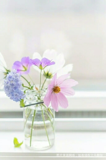 【祝福篇】感恩父母,有你真好!