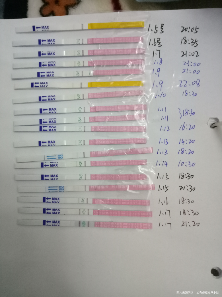 这样算强阳吗?什么时候会排卵?