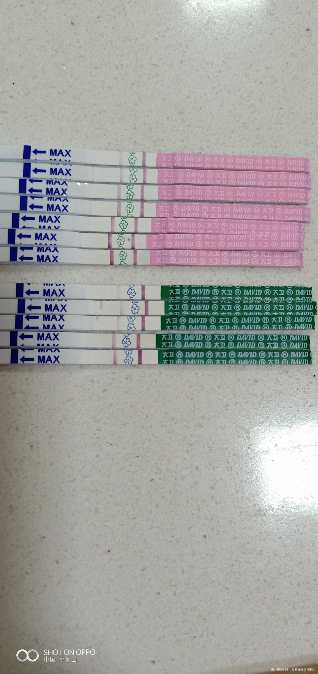 12月14移植 今天14天 抽血结果到下午才能出来