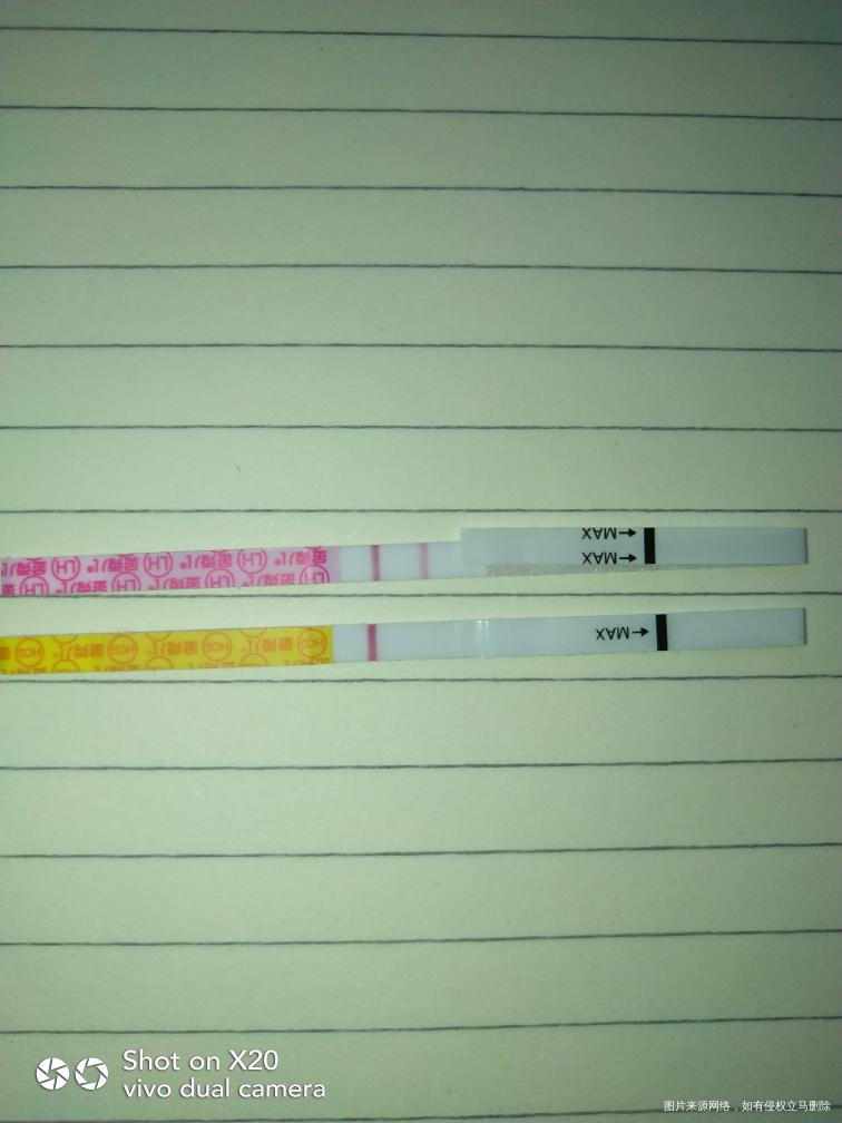 13号排卵的 现在怎么样了