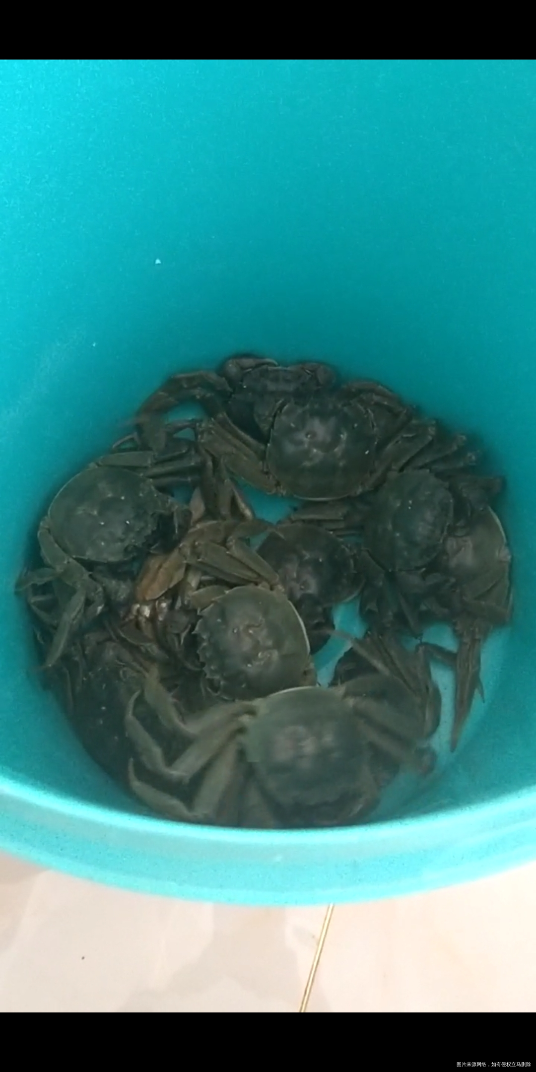 排卵第十天 早孕白板 排卵试纸阳弱