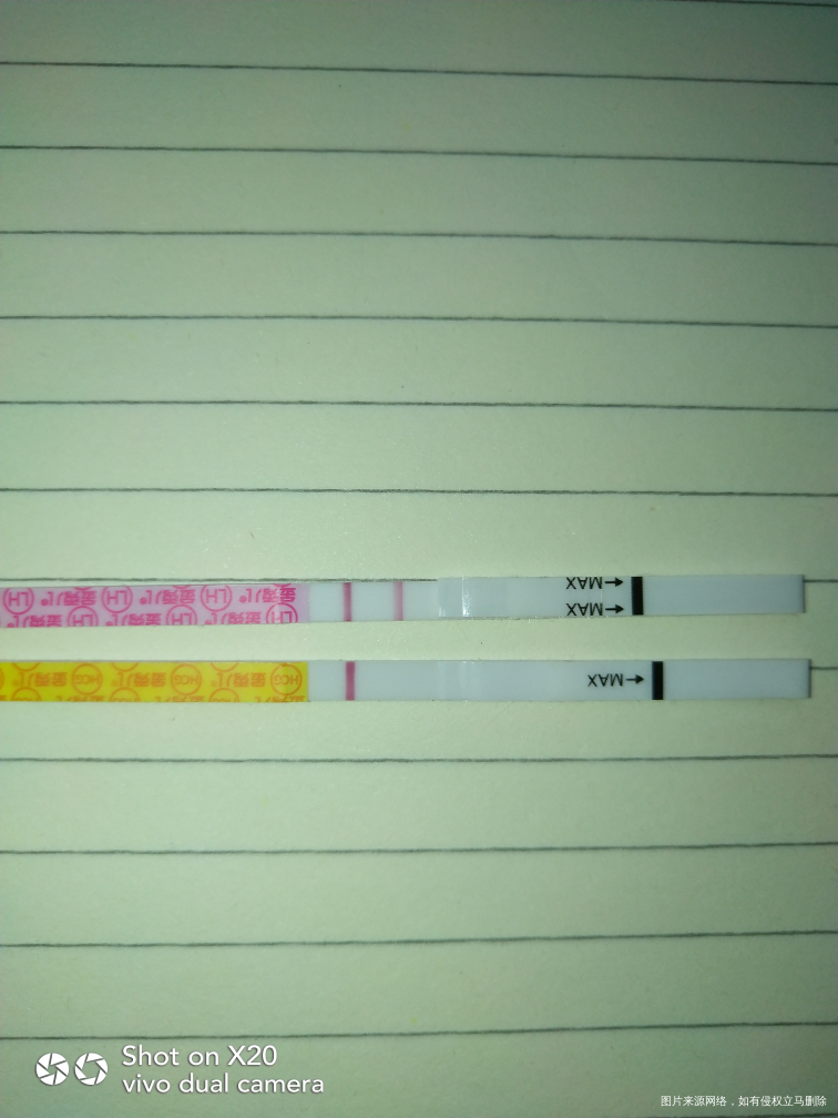 排卵第十天 早孕白板 排卵试纸阳弱