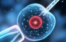 单精子注射也能生育双胎吗