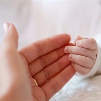 试管婴儿程序