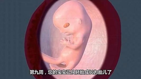 不长胎心胎芽的原因