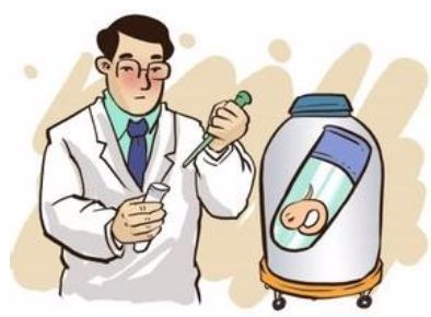 人工授精多少钱一次