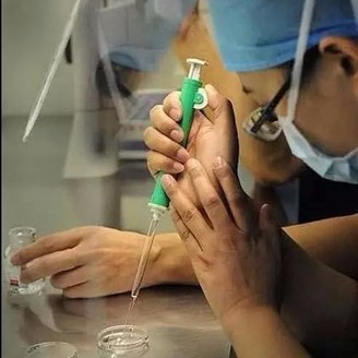 人工授精如何取精