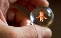 宫腔内人工授精(IUI)过程