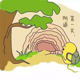 穿衣不当引起的2种阴道炎
