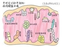 阴道炎反反复复怎么回事