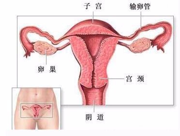 阴道炎红肿怎么回事