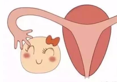 清宫后子宫内膜薄久可以恢复