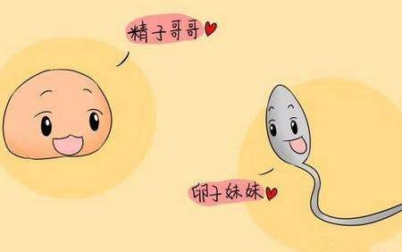 怎样检查输卵管堵塞 一般用什么检查方法