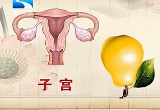 为何会患上不孕症呢 不孕不育怎么引起的