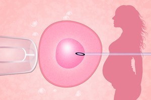 2018年试管婴儿补助  试管婴儿成功率有多高