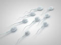 精子常规检查挂哪个科  不育不孕如何治疗