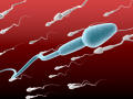 检测精子挂什么科室  检测精子质量的方法
