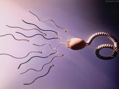 备孕男人吃什么使精子更旺盛  精子怎么知道卵子在哪儿