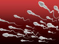 精子常规禁欲十几天  精液常规检查适合哪些人做