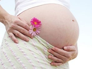 怀孕月份怎么算男女  怀孕公式算男女准吗