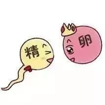 想要备孕吃什么叶酸  男性备孕也要吃叶酸吗