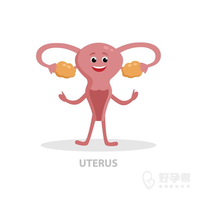 先兆流产保胎要多久？