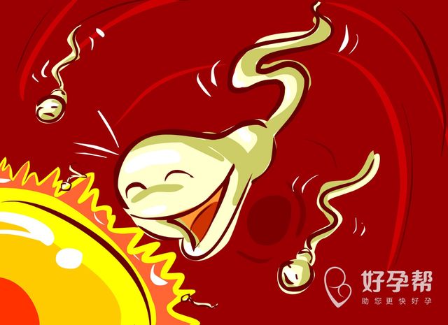 畸形精子率高该如何调理？