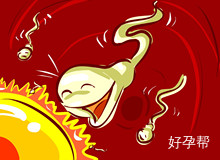 畸形精子率高该如何调理？