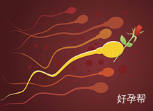 什么是畸形精子症？